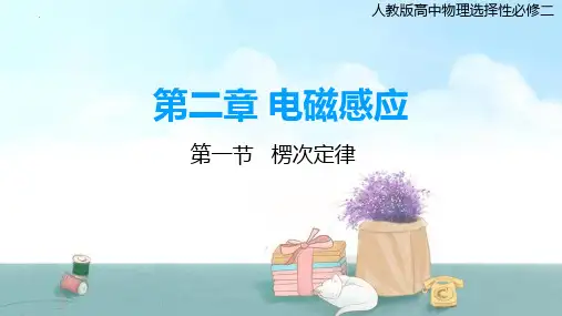 物理人教版(2019)选择性必修第二册2