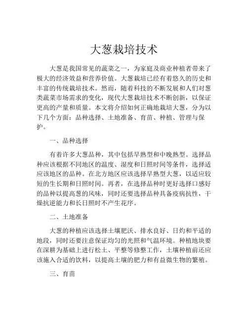 大葱栽培技术