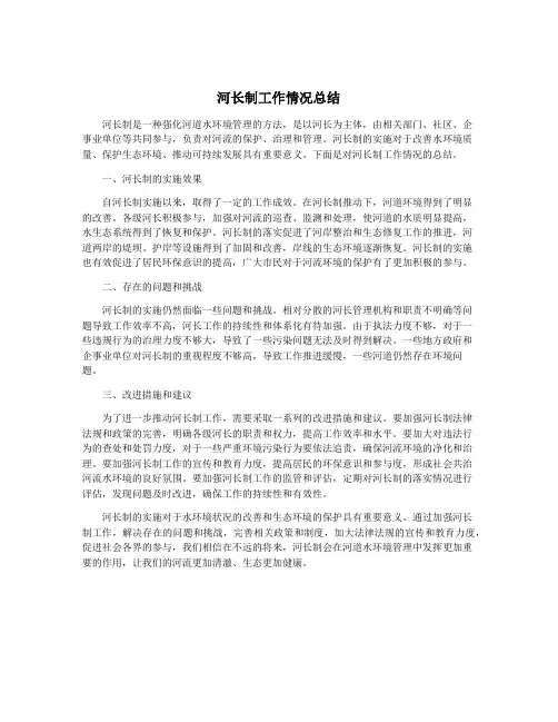 河长制工作情况总结