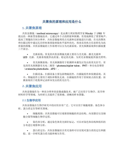 共聚焦的原理和应用是什么