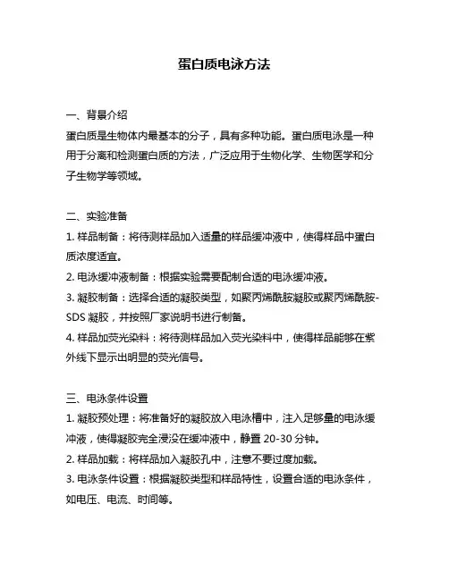蛋白质电泳方法