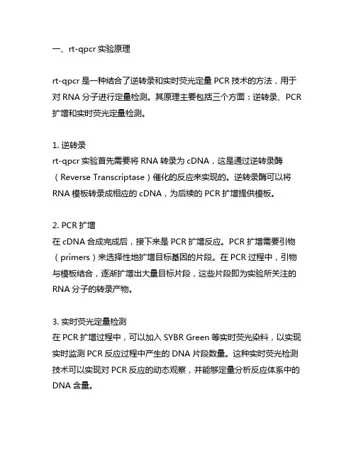 rt—qpcr实验原理及步骤