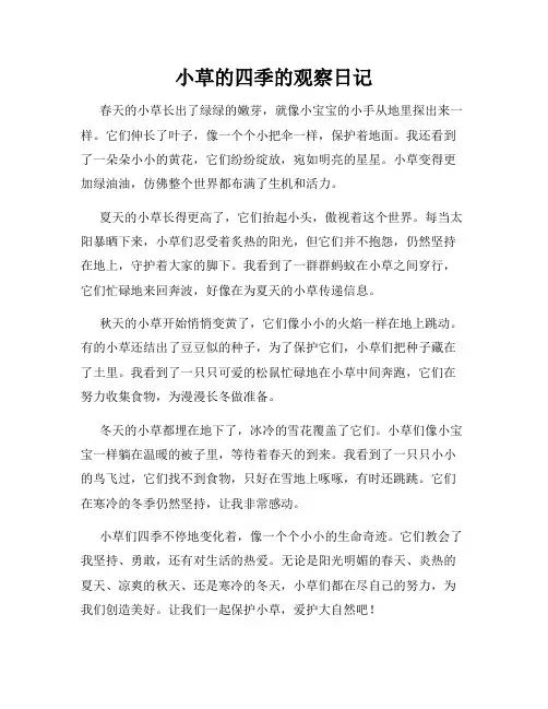 小学三年级作文小草的四季的观察日记