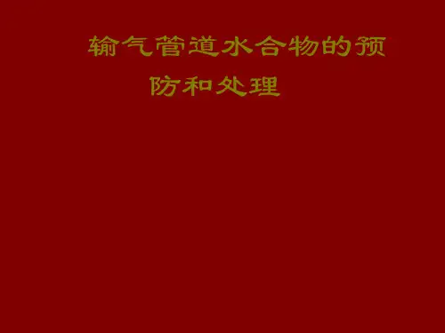 工艺设备培训-天然气水合物的成因与特性