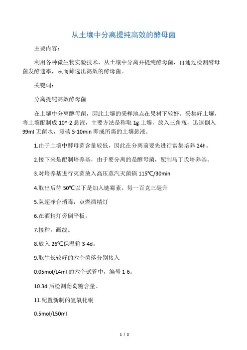 从土壤中分离提纯高效的酵母菌