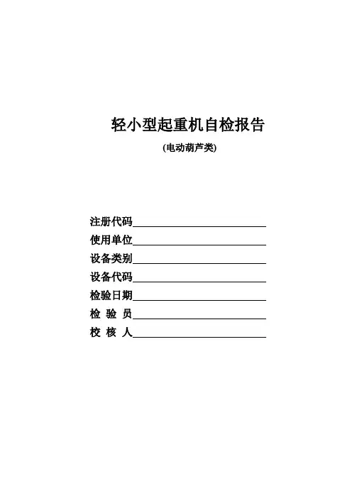 轻小型起重机自检报告(电动葫芦)