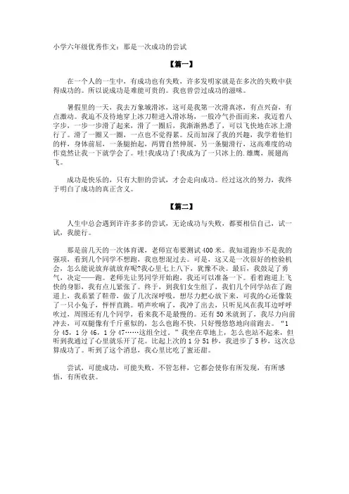 小学六年级优秀作文那是一次成功的尝试