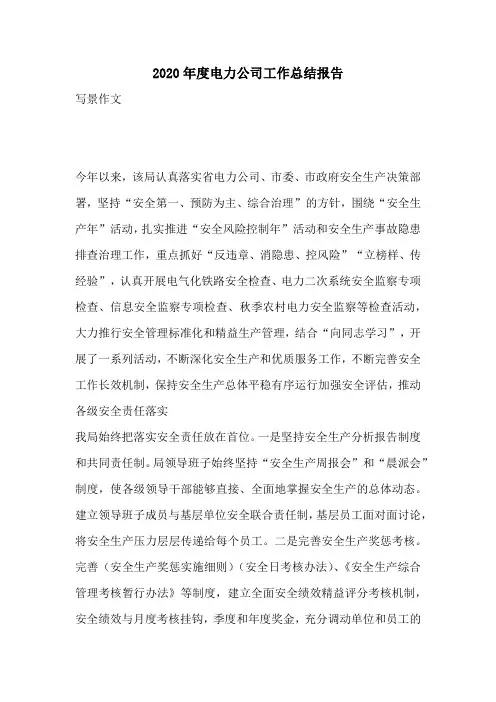 2020年度电力公司工作总结报告