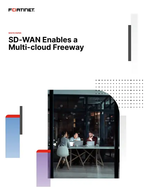 SD-WAN启用多云自由路：白皮书说明书