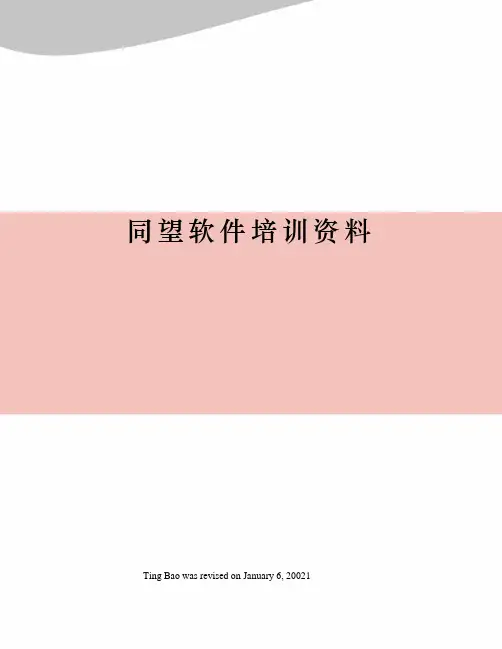 同望软件培训资料