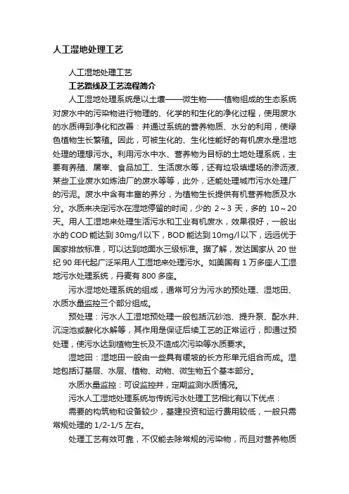 人工湿地处理工艺