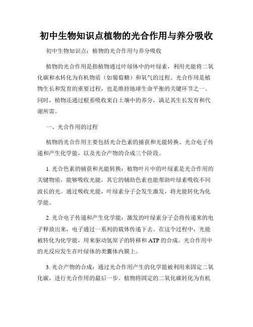 初中生物知识点植物的光合作用与养分吸收