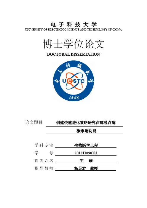 博士学位论文-电子科技大学图书馆论文提交系统