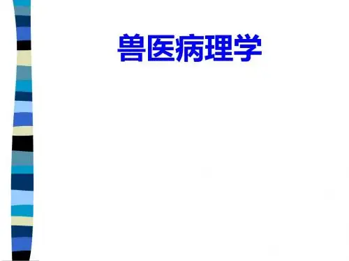 兽医病理学-医学资料