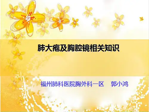 肺大疱及胸腔镜相关知识