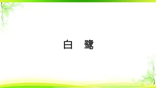 1《白鹭》课件(共24张PPT)