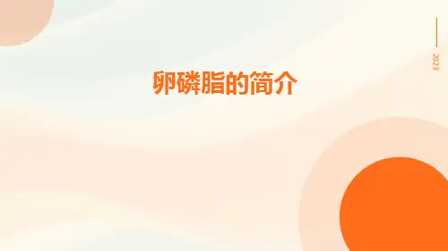卵磷脂的简介
