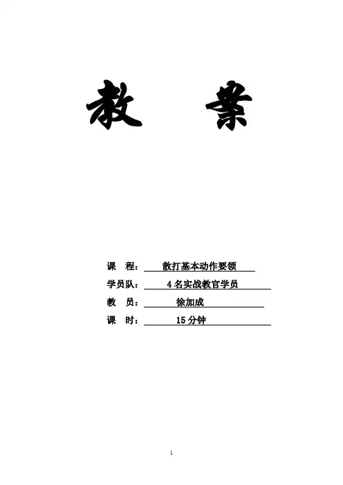 散打基本动作要领教案