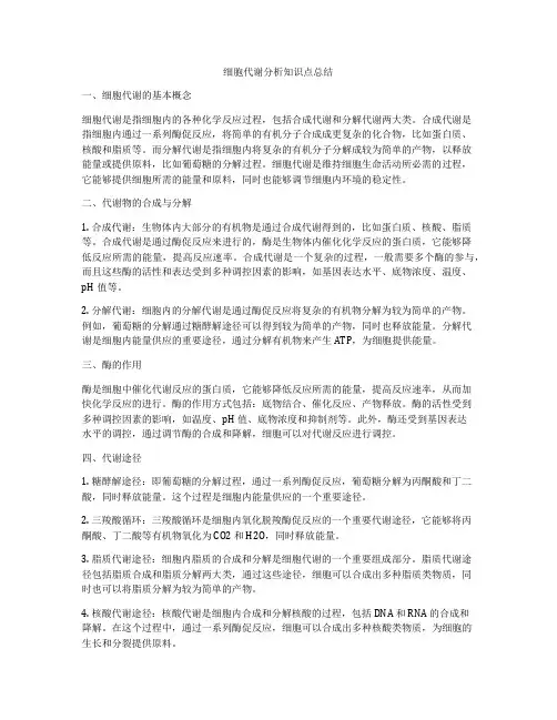细胞代谢分析知识点总结