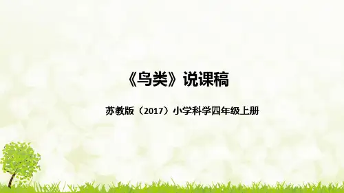 新教材苏教版(2017)小学科学四年上册《鸟类》说课稿(附板书)课件PPT