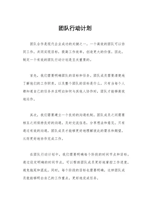 团队行动计划