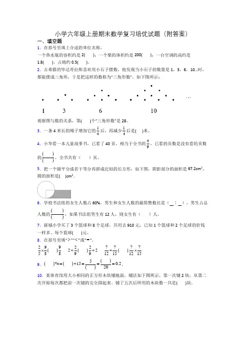 小学六年级上册期末数学复习培优试题(附答案)