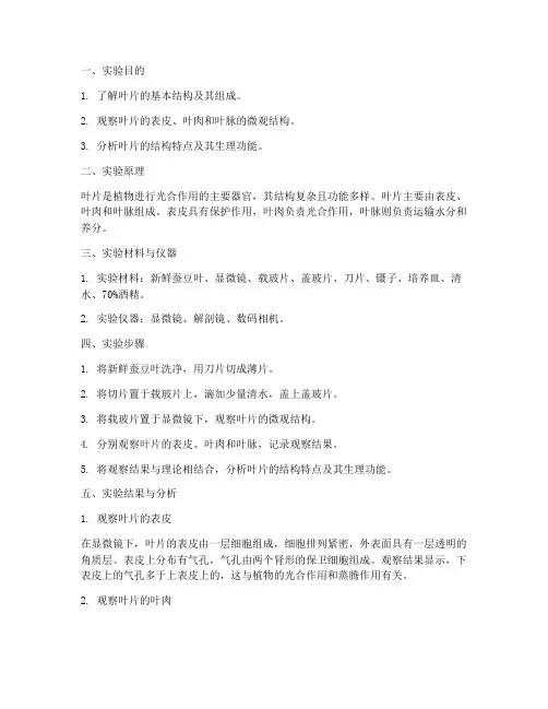观察叶片的结构实验报告