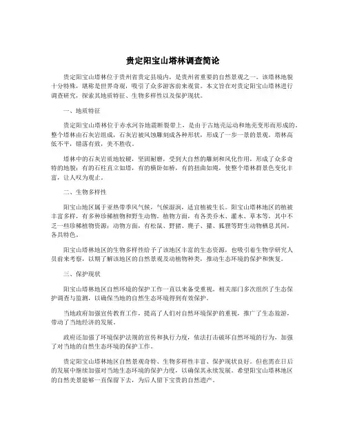 贵定阳宝山塔林调查简论