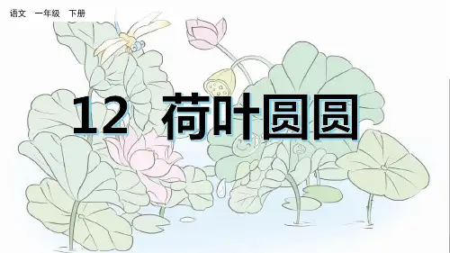 部编版一年级语文下册第六单元第12课《荷叶圆圆 》教学课件)