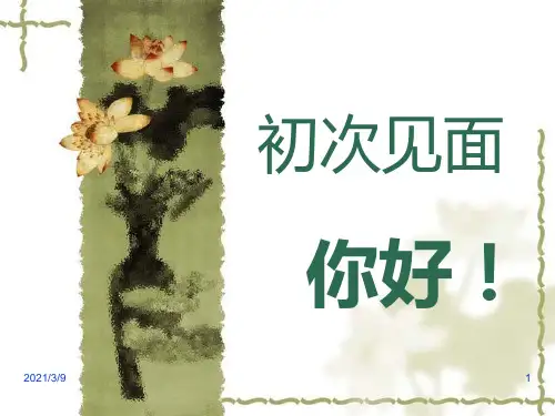 对外汉语教学课件(用于初次见面)