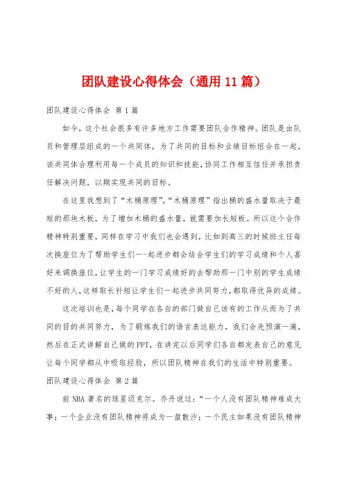 团队建设心得体会(通用11篇)