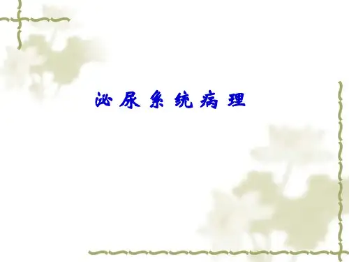 兽医病理解剖学课件：泌尿系统病理