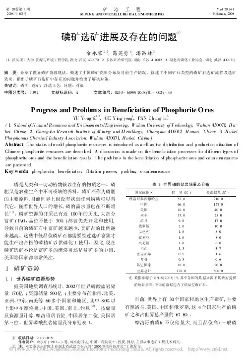 磷矿选矿进展及存在的问题