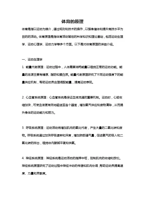 体育的原理