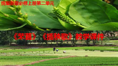 新教材(统编版)高中语文《芣苢 》公开课-ppt