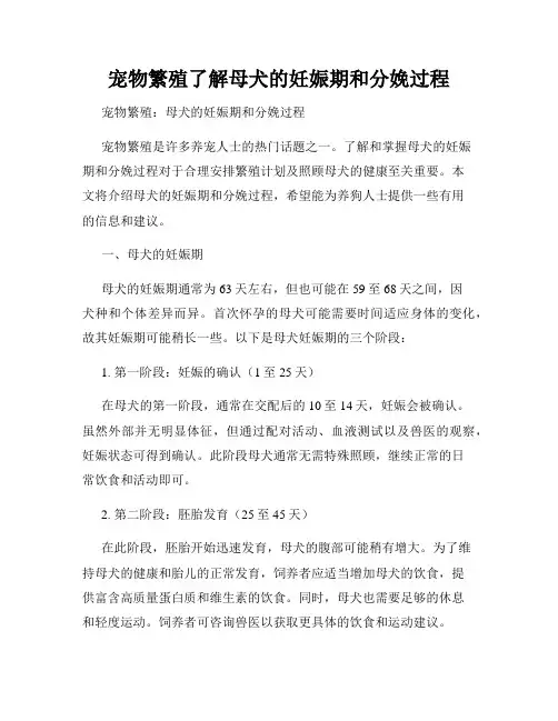 宠物繁殖了解母犬的妊娠期和分娩过程