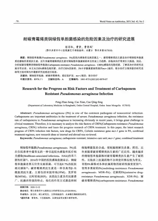 耐碳青霉烯类铜绿假单胞菌感染的危险因素及治疗的研究进展