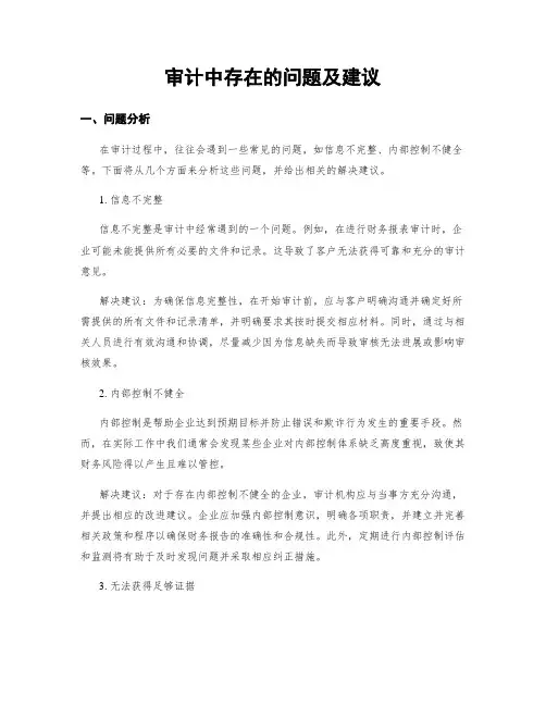 审计中存在的问题及建议