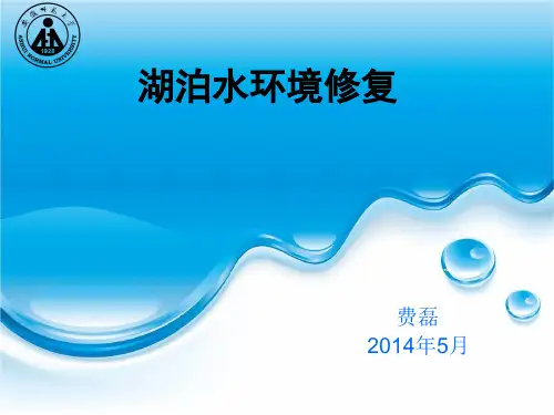 湖泊水环境修复PPT课件
