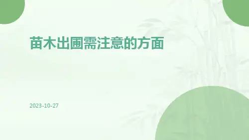 苗木出圃需注意的方面