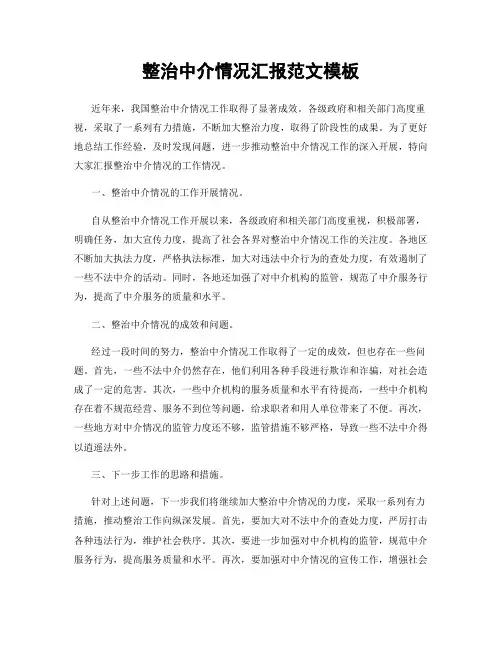 整治中介情况汇报范文模板