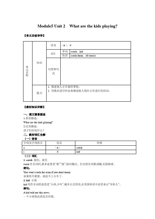 小学英语精讲精析 What are the kids playing