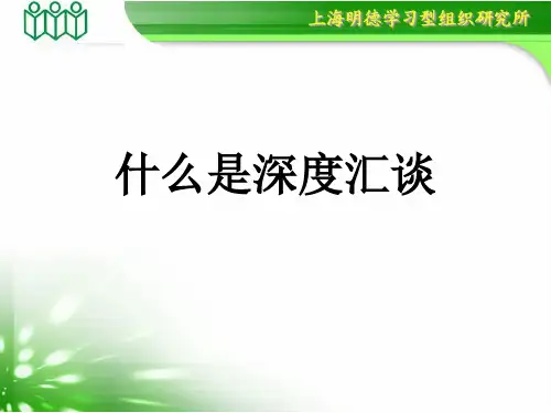 2什么是深度汇谈