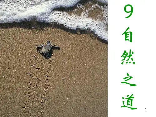 小学四年级下册语文 《自然之道》PPT优秀课件