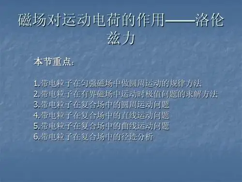 物理课件·洛伦兹力