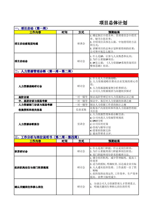 3P项目总体计划