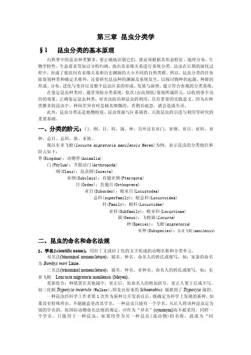昆虫分类检索表