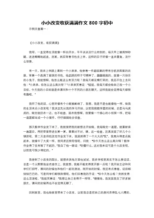 小小改变收获满满作文800字初中