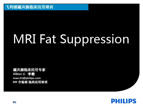 脂肪抑制技术的精品课件解读