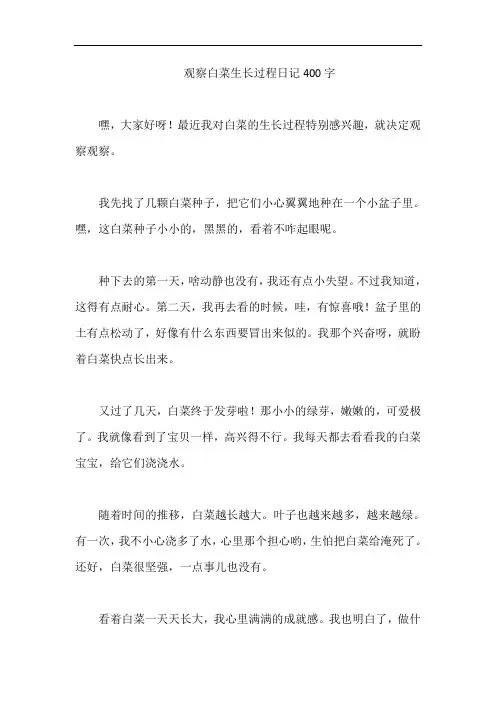 观察白菜生长过程日记400字
